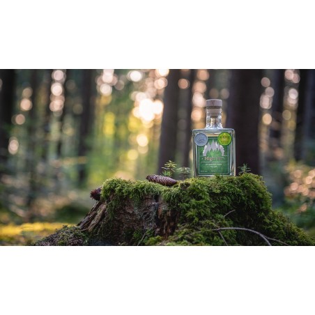 High Fir Summer Edition - Frisch